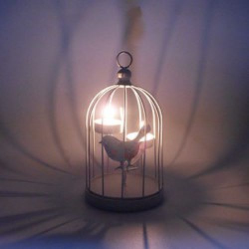 Chandelier en Fer sous forme de cage d&rsquo;oiseau pour décoration d&rsquo;intérieur