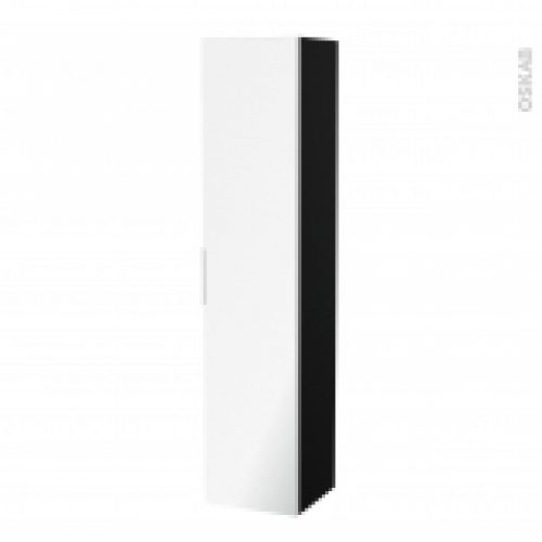 Colonne De Salle De Bains 1 Porte Miroir Ipoma Noir Mat Cotes Decors L40 X H182 X P40 Cm