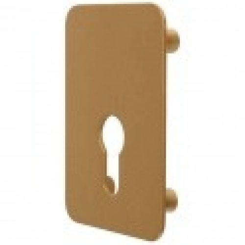 Contre plaque pour verrou ARNOV cylindre européen – Iséo