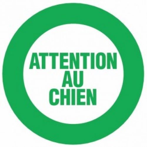 Disques rigides – Attention au chien