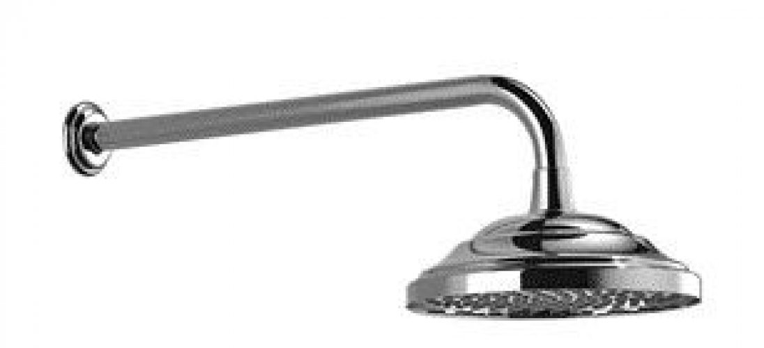 Dornbracht Madison Tête de douche arrosoir à fixation murale (28545977)