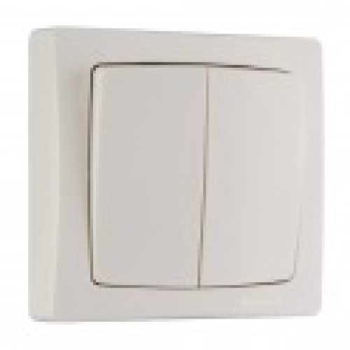 Double va et vient 10 AX Saillie complet – Legrand