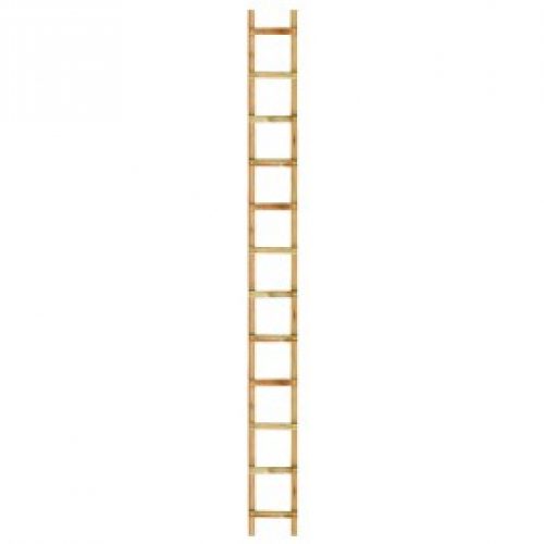 Echelle de toit –  bois