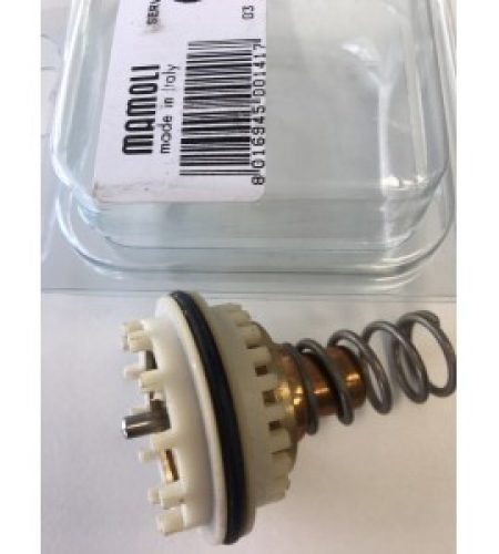 Elément thermostatique pour chaudière de stockage Mamoli 9P