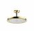 hansgrohe Raindance Classic – Ensemble douche de tête 240 Air 1jet chrome / or