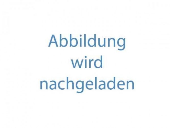 Isolation Phonique Ideal Standard pour WC et bidets, montage mural