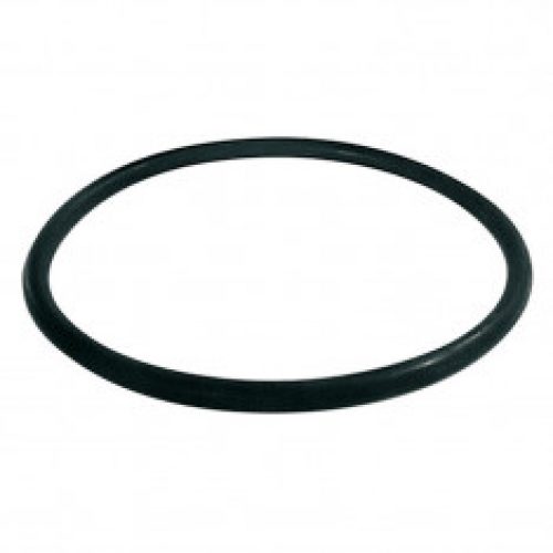 Joint torique pour filtre fioul bitube RG 2 et RG Z – Watts 22L0199013