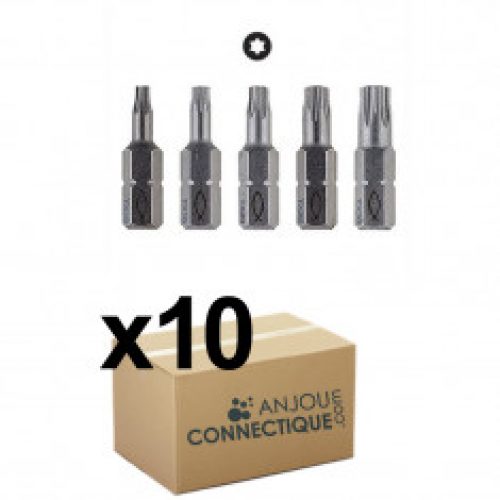Lot de 10 Embouts professionnel TX étoile Torx