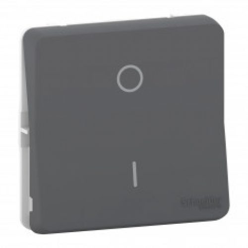 Mureva Styl – Interrupteur bipolaire – composable – IP55 – IK08 – gris