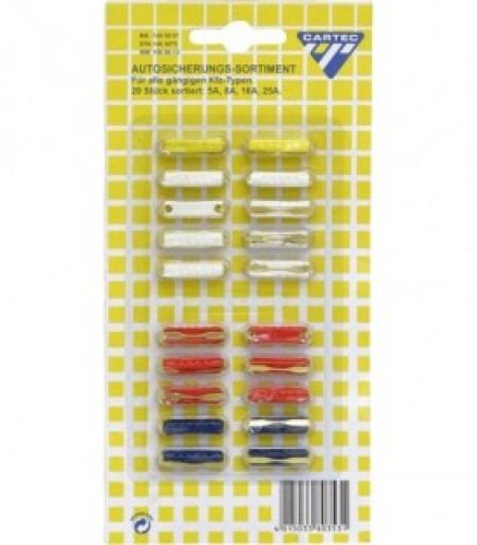 Petit assortiment 20 fusibles standard