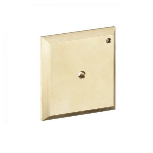 Plaque Hansgrohe de rinçage iControl Manuel d&rsquo;utilisation