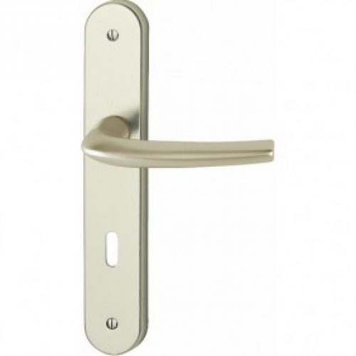 Poignées de porte sur très grandes plaques – ton champagne – San Diego