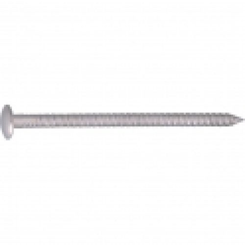 Pointe acier inox tête ronde – Lot de 500 – Sélection Cazabox