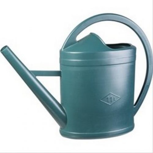 Pomme d&rsquo;arrosoir