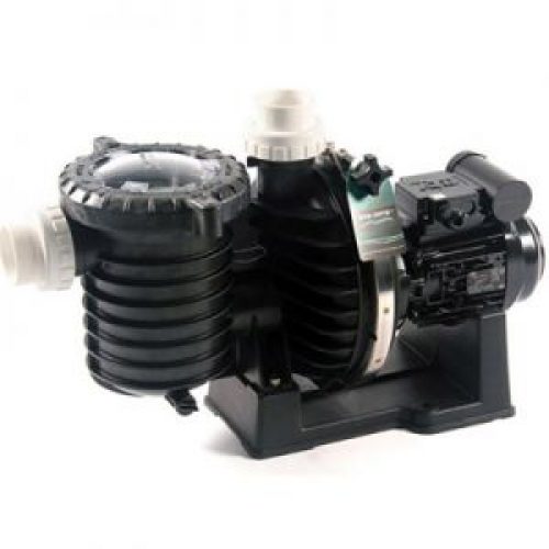 Pompe STA RITE (SW) 5 P6R + Raccords