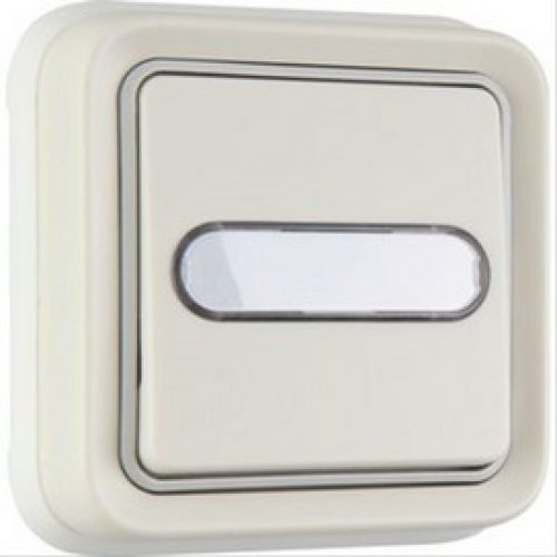 Poussoir inverseur lumineux Plexo complet encastré Legrand 069864