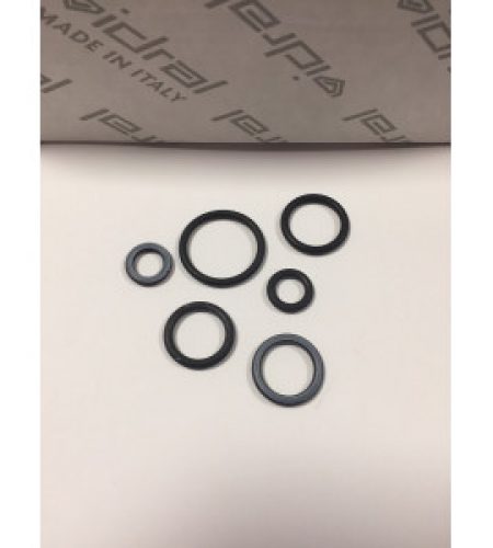 Remplacement du joint torique Idral 02096/OR6