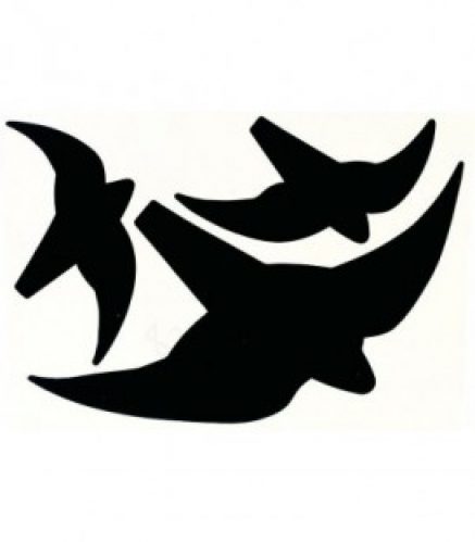 Representation d&rsquo;oiseau pour vitre noir, 3 pcs pourDIN A3 Feuille adhesive *BG*