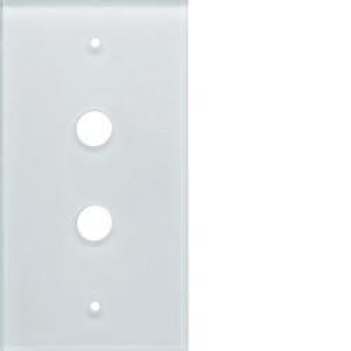 silea Plaque 2 postes neve HAGER WMC412