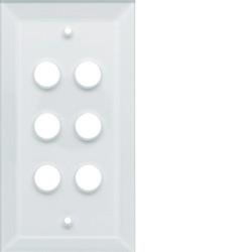 silea Plaque 6-postes vetro HAGER WMC406