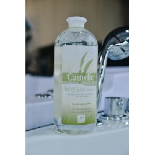 STERYLANE désinfectant pour balneo et spa 1000ml