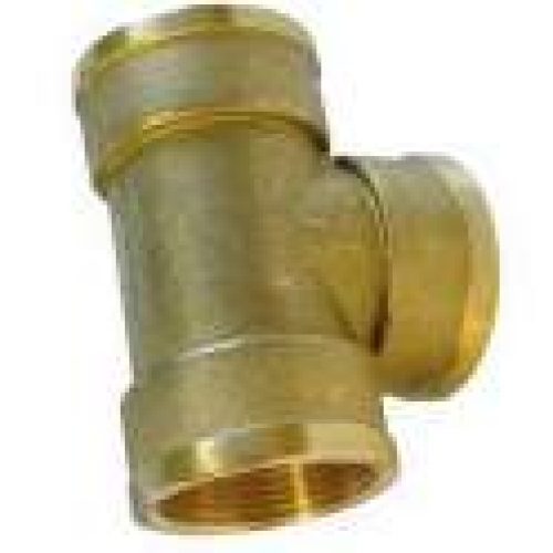 Té femelle : 05×10