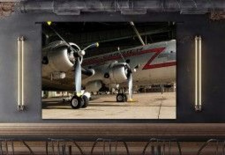 Tenture Murale Design en Coton Bio Spirit of Freedom