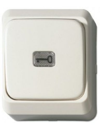 TSF – Bouton poussoir ABS NO/NF – ACA001