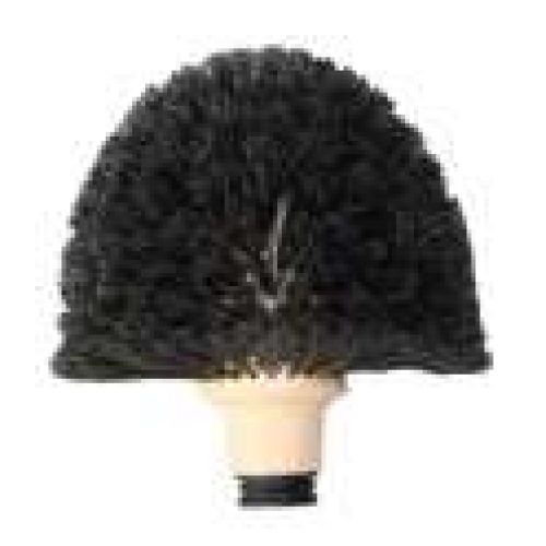 Tête de loup forme champignon – Sélection Cazabox