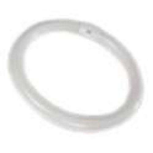 Tube circline : 40W 2Gx13 840